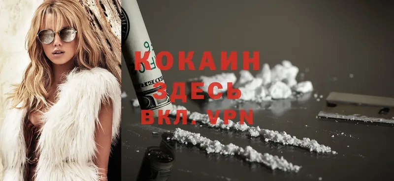 Кокаин FishScale  продажа наркотиков  Мамадыш 