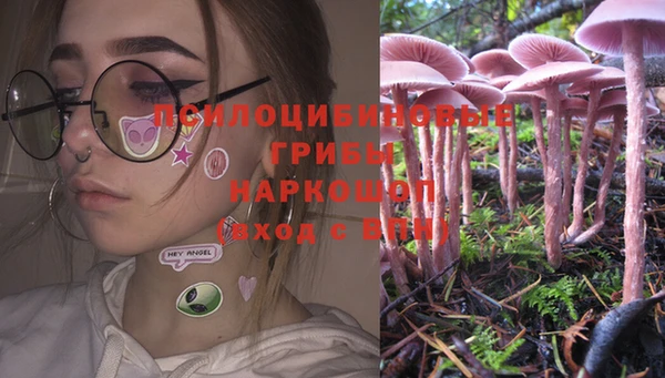 ГАЛЛЮЦИНОГЕННЫЕ ГРИБЫ Михайловка