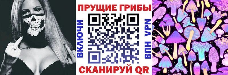 Псилоцибиновые грибы Psilocybine cubensis  магазин  наркотиков  Мамадыш 